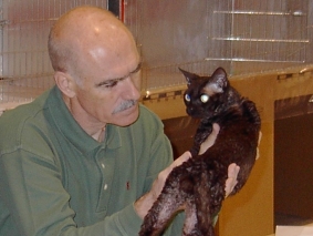 Black Cat blir bedömd i Bollnäs 060429