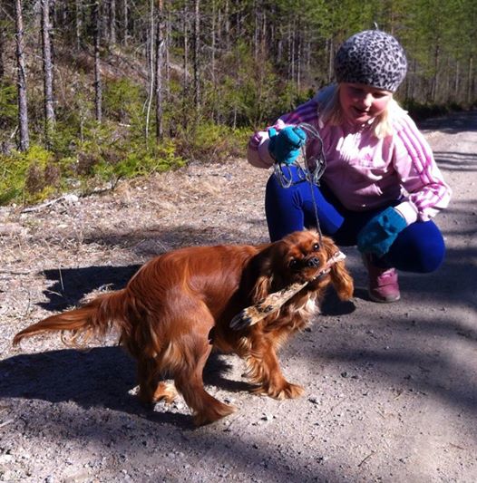 Esther och Pepita har gått ett viltspår april 2014. Lycklig hund och matte!